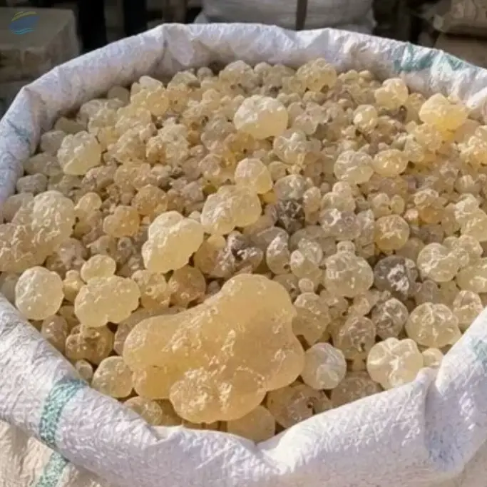 Somali Frankincense & Myrrh B2B Supplier