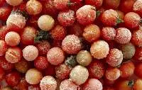 Premium Frozen Vegetables Export Quality