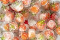 Premium Frozen Tomatoes Export Quality