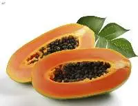 Premium Frozen Papaya Export Quality 