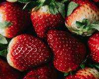 Premium Frozen Strawberries Export Quality