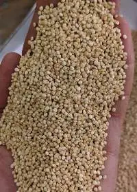 Quinoa