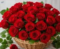 Hosur Fresh Red Roses