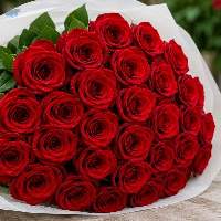 Premium Fresh Cut Roses Hosur All Colours