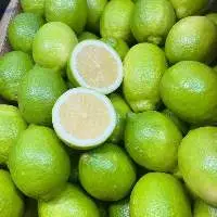 Fruits And Vegetables