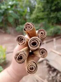 Ceylon Cinnamon Sticks Madagascar 100% Natural