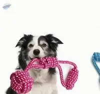 Cotton Rope Tug & Ball Dog Toy with Handle