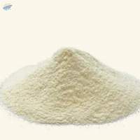 Akschan Herbals Camel Milk Powder Export Grade