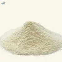 Akschan Herbals Camel Milk Powder Export Grade