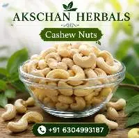 Premium Quality Indian Cashew Nuts