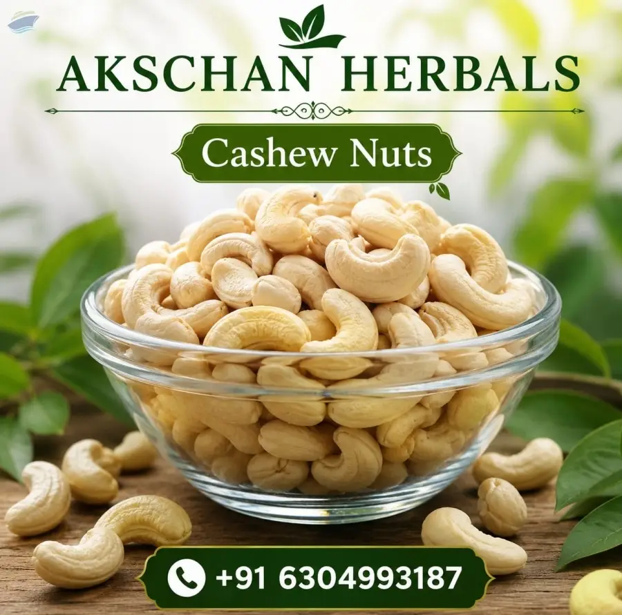 Premium Quality Indian Cashew Nuts