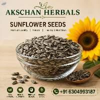 Premium Indian Quality Sunflower Seeds