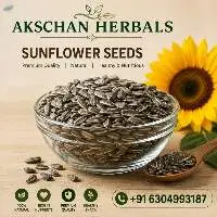 Premium Indian Quality Sunflower Seeds