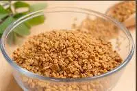 Premium Quality Fenugreek Seeds (Methi Seeds) 
