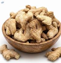 Premium Quality Dry Ginger (Whole / Dried Ginger