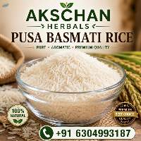 Premium Quality Pusa Basmathi Rice