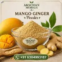 Premium Indian Mango Ginger Powder
