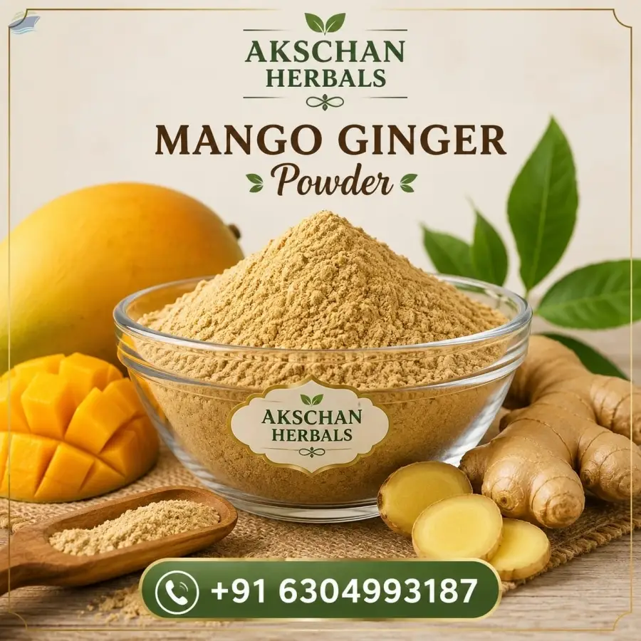 Premium Indian Mango Ginger Powder