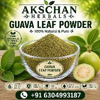 Premium Export Quality Guava Leaf Powder