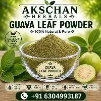 Premium Export Quality Guava Leaf Powder