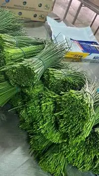 Herbs