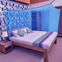 Mosquito Net
