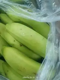 Fresh Cavendish Banana