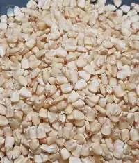 Egyptian White Corn