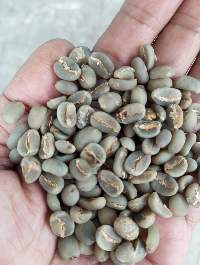 Toraja Arabica Green Coffee Beans G1