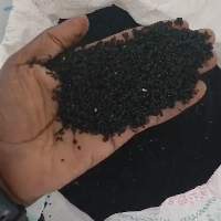 Black Cumin Seed Oil