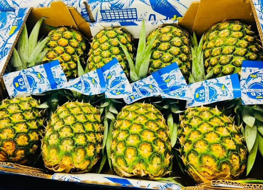 Fresh Pineapple