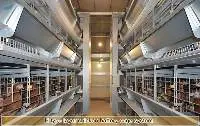 H Type Layer Rearing System