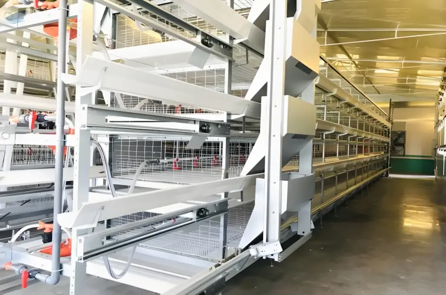 H Type Broiler Battery Cage System