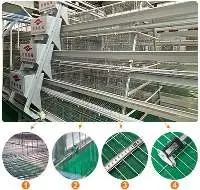 A Type Layer Rearing Equipment