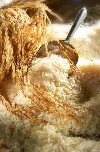Parboiled Rice