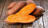 Fresh Premium Quality Sweet Potatoes 