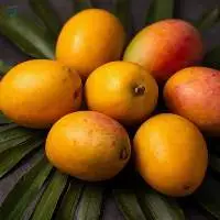Farm Fresh Naturally Sweet Ripe Mangoes