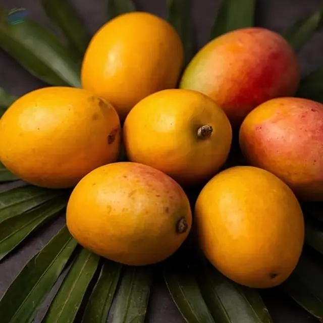 Farm Fresh Naturally Sweet Ripe Mangoes