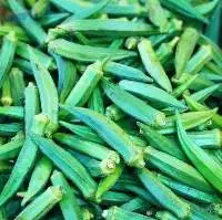 A Grade Premium Fresh Indian Green Okra