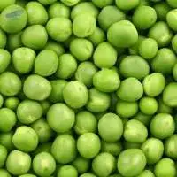Farm Fresh Naturally Sweet Green Peas