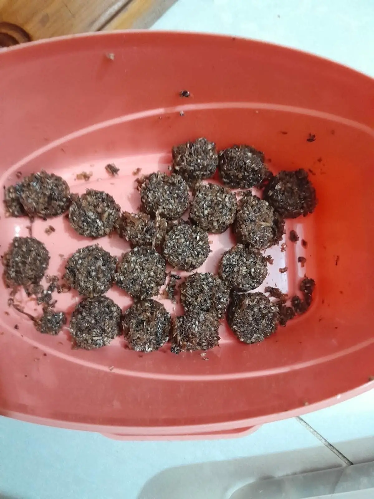 Agar Oud