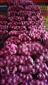 Onion