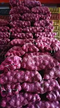 Onion