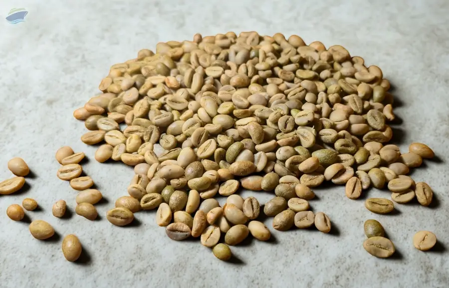 Robusta Green Bean