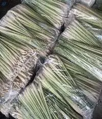 Lemongrass