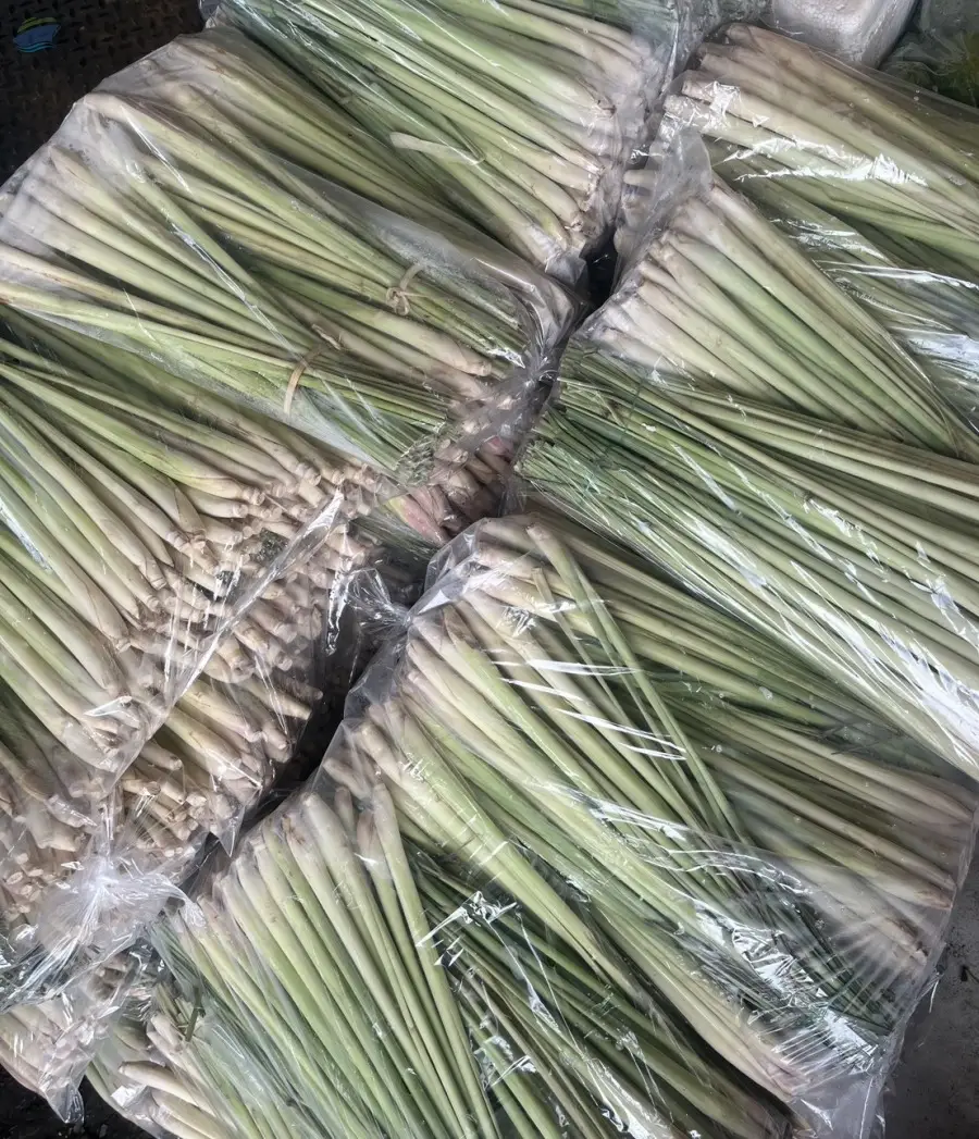 Lemongrass