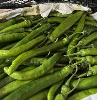 Big Green Chili