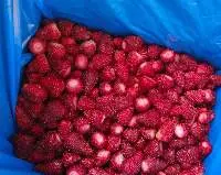 Frozen IQF Strawberries