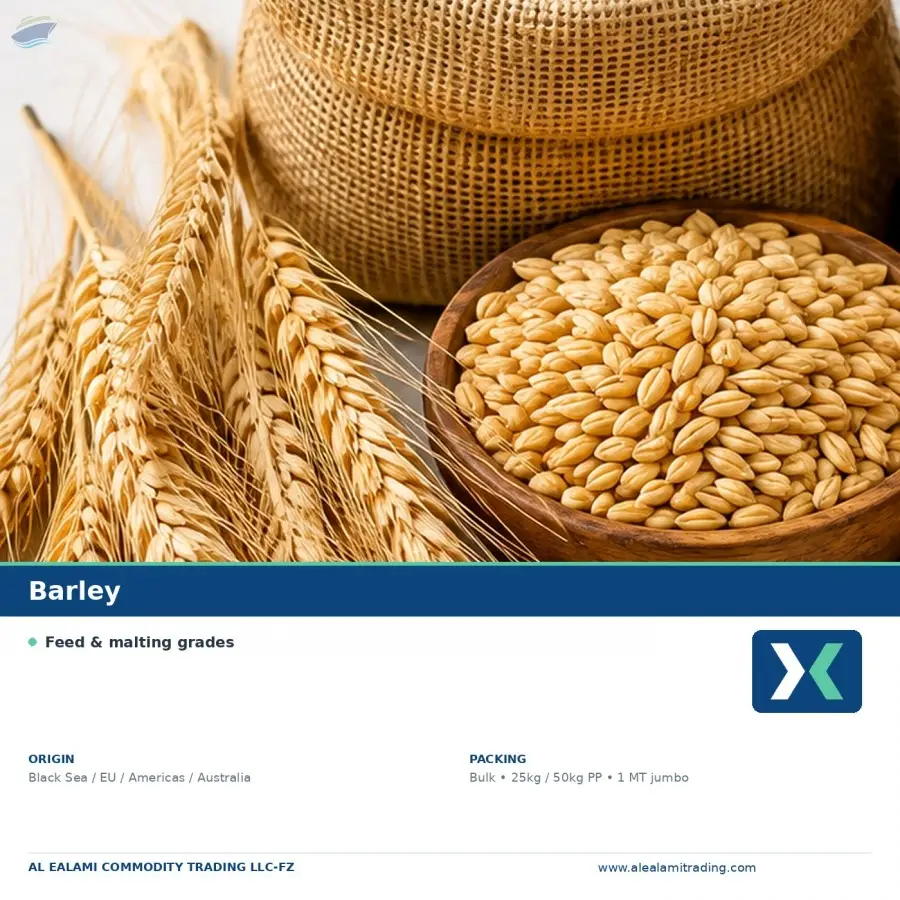 Premium Indian Barley Grain Export Quality