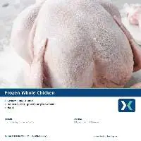 Premium Frozen Whole Chicken Export Quality